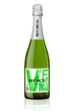Vallformosa Classic Brut NV, D.O. Cava, Spain