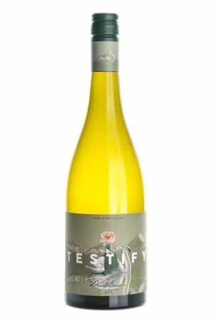 2022 Decibel Testify Chardonnay, Hawkes Bay